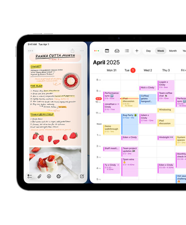 iPad, horizontale stand, linkerkant van het scherm toont Dagboek-app
